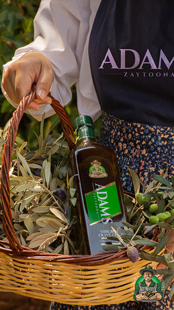 Olive Oil